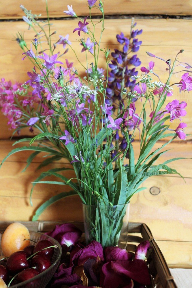 Photograph by Татьяна Фоевцева