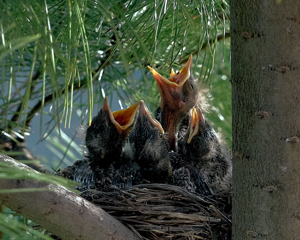 Photograph by Елена Мормоль