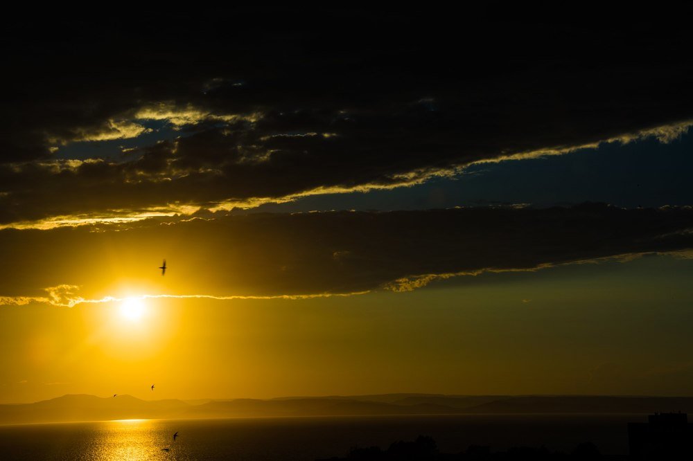 Photograph by ANTON KHOMENKO https://www.patreon.com/ant_vipp