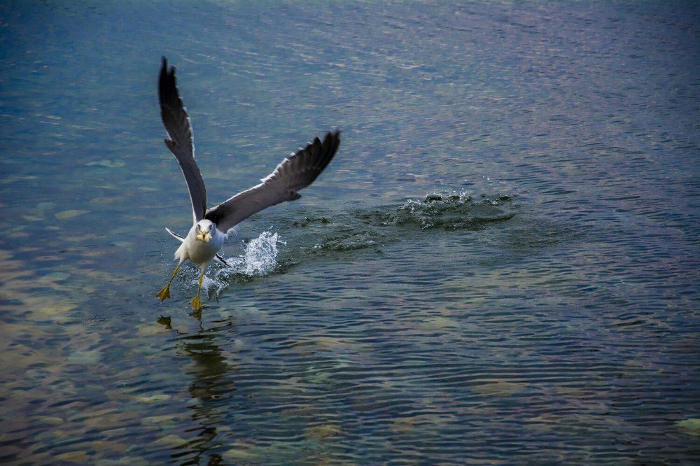 Photograph by ANTON KHOMENKO https://www.patreon.com/ant_vipp