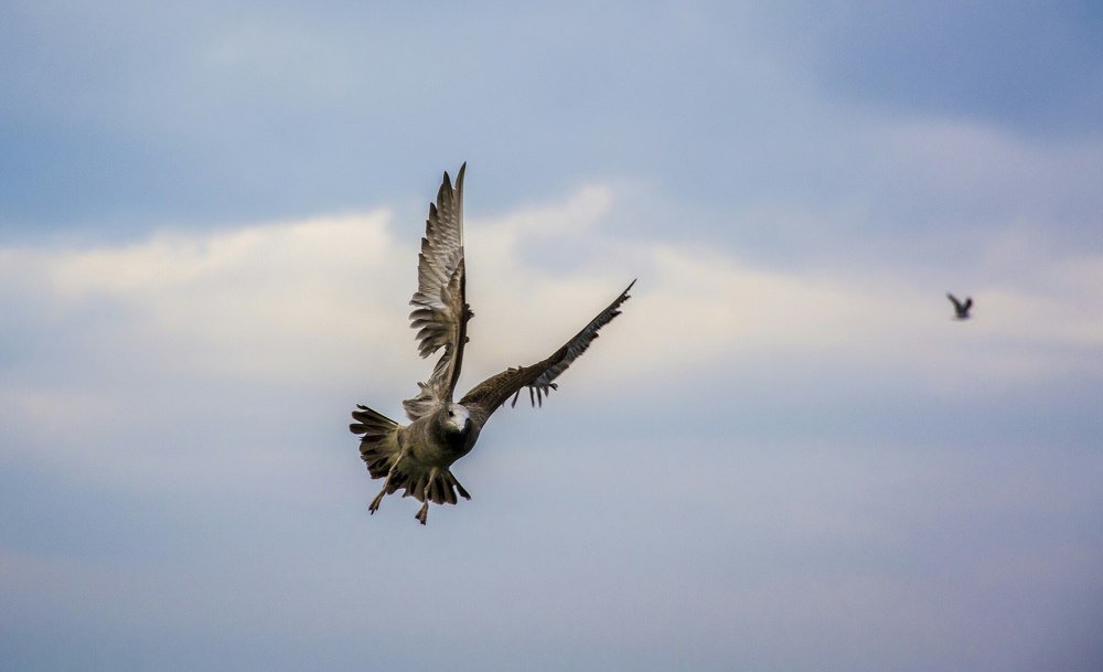 Photograph by ANTON KHOMENKO https://www.patreon.com/ant_vipp