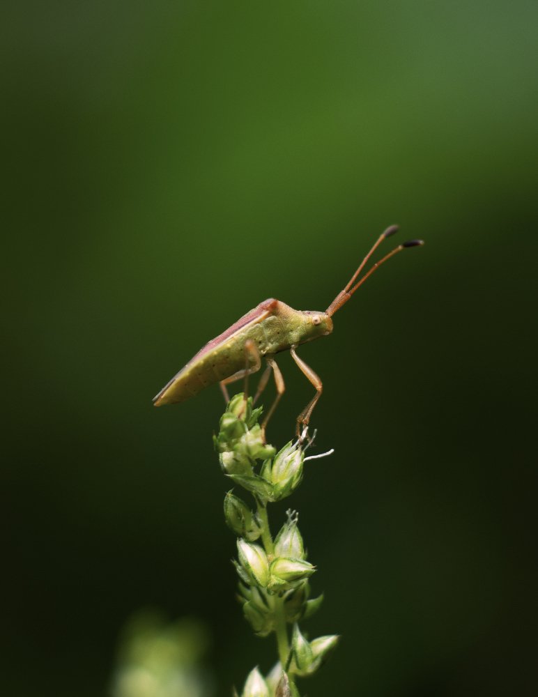 Photograph by Ankan Das