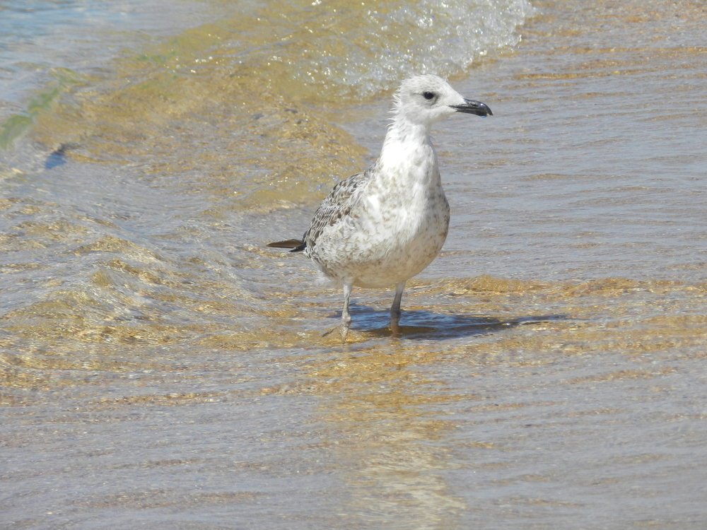 Photograph by Авдеев Станислав