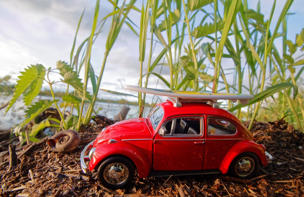 Photograph by Илья Левкович