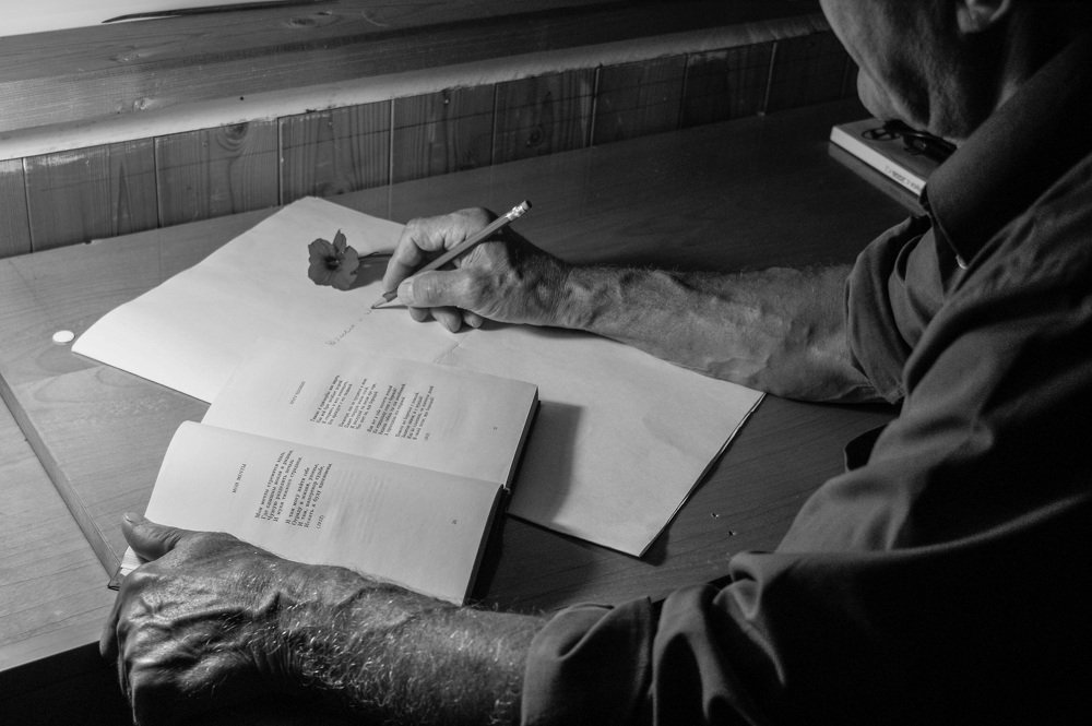 Photograph by Таисия Никишова