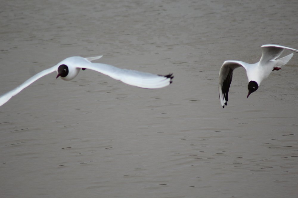 Photograph by Игорь Санюк