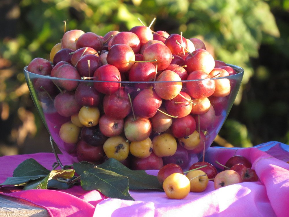 Дары сентября