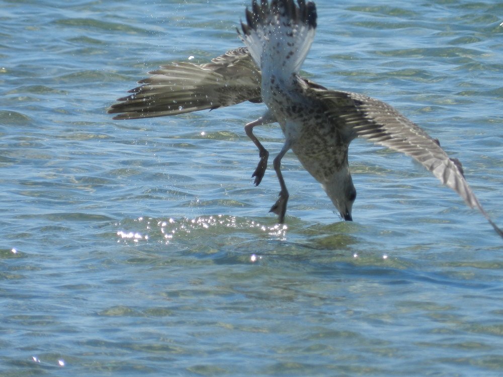 Photo #4938866
