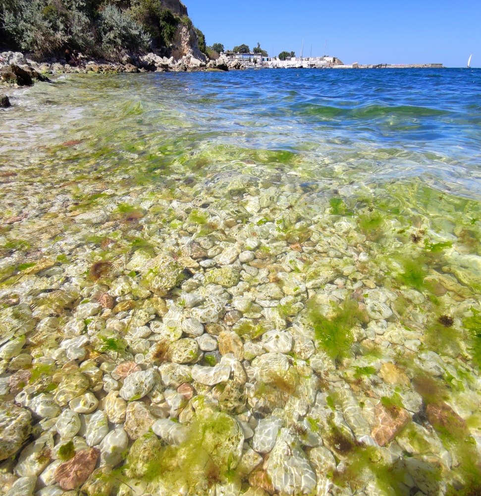 Прозрачное Черное море