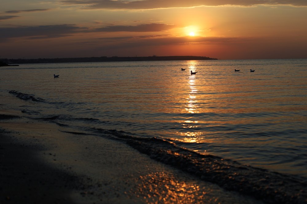 Photograph by Михайло Кушей