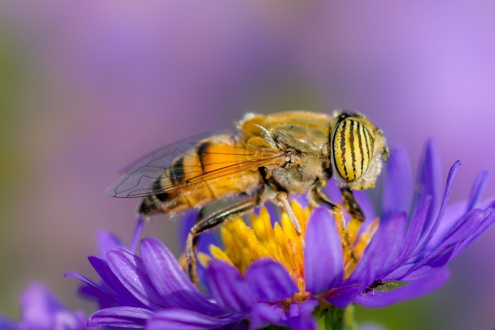 Photograph by Vahid Yavari