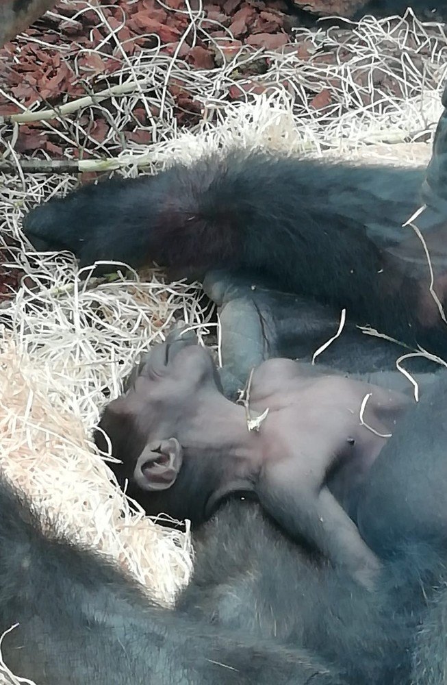 quiet, baby is sleeping