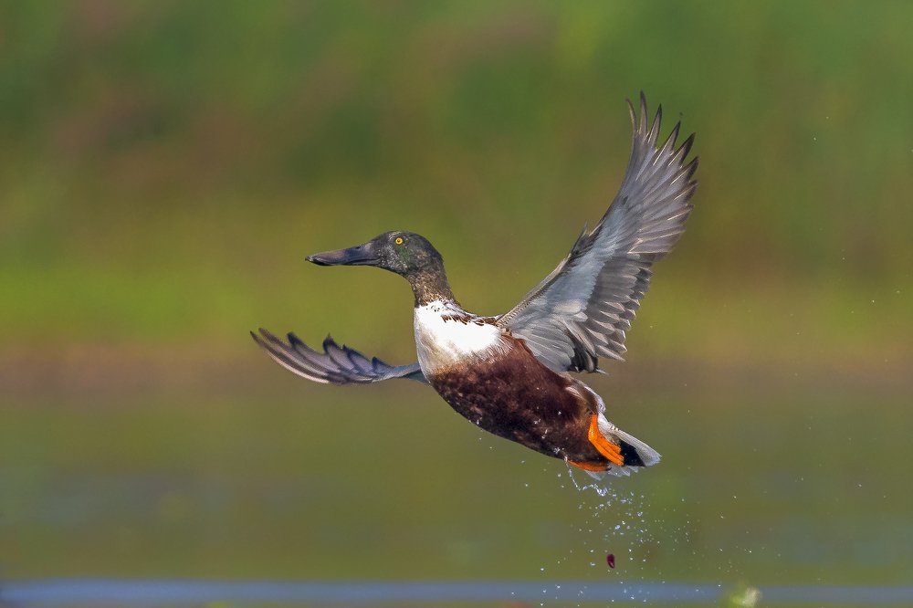 Photograph by Mousam Ray