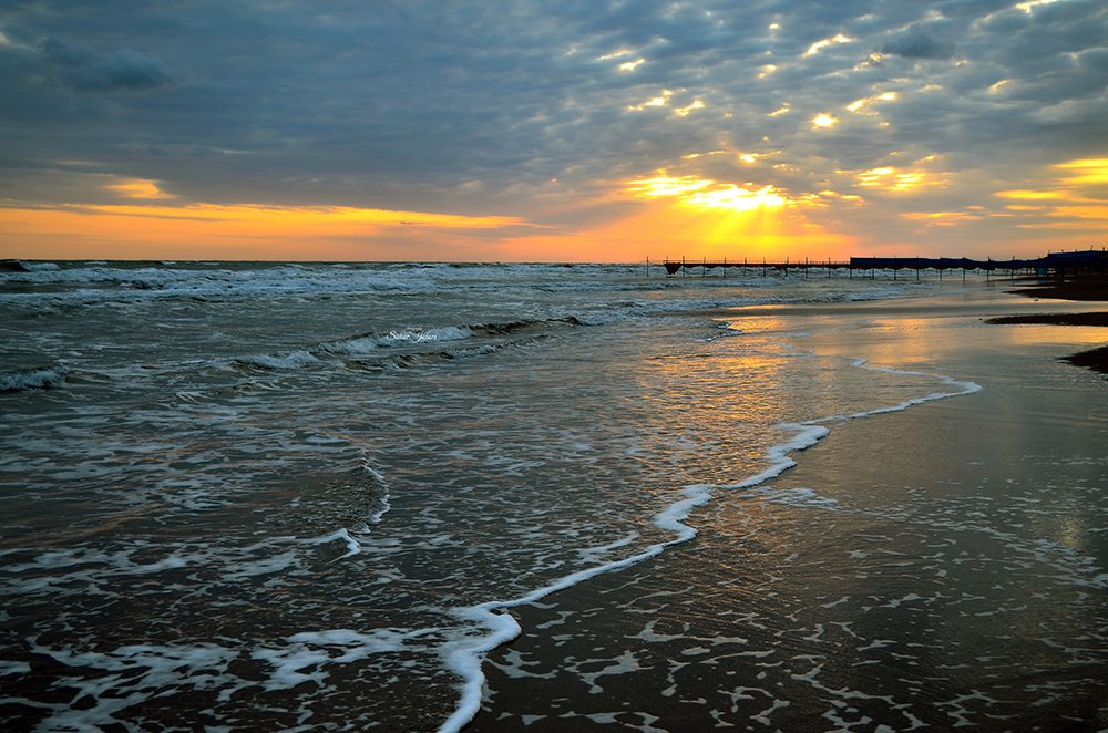 Photograph by Sahar Jafari