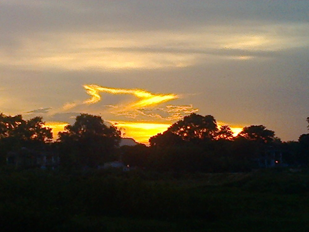 Фотография автора Santanu Dasgupta