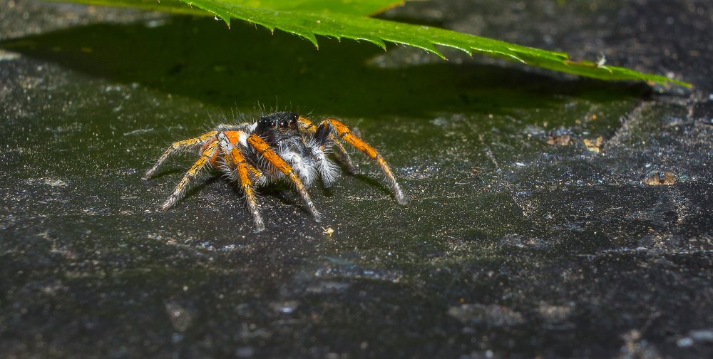 Photograph by Юрий Лисовой