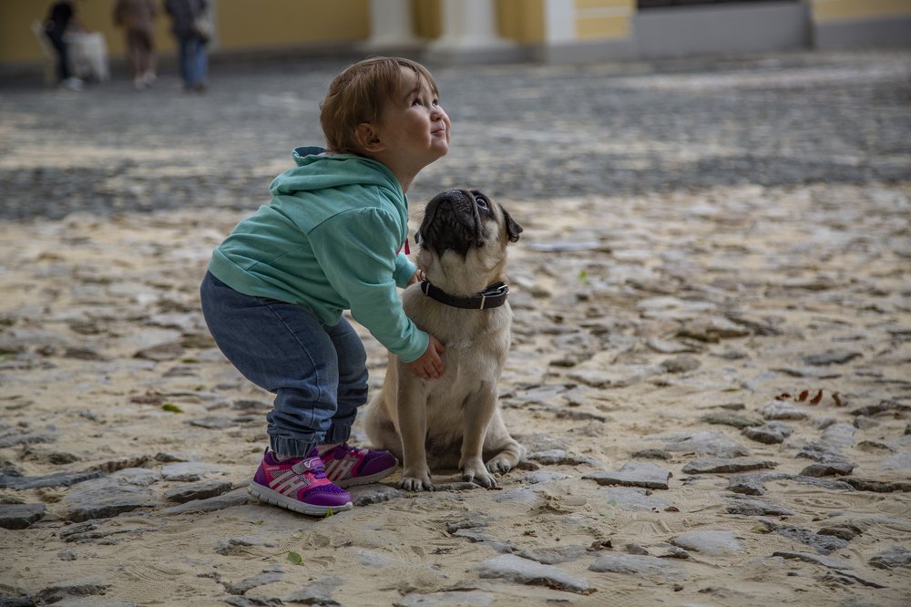 Photograph by Андрей Ларин