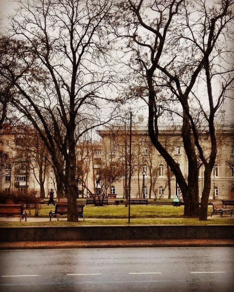 Дождь в городе