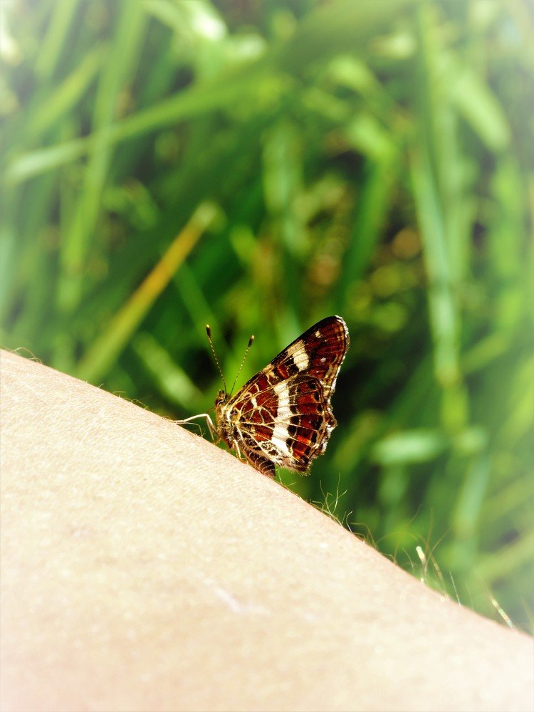 Photograph by Александра Семенихина