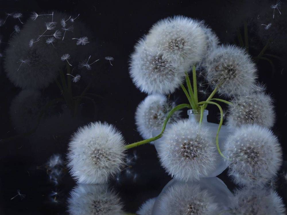 Photograph by Светлана Лехмус