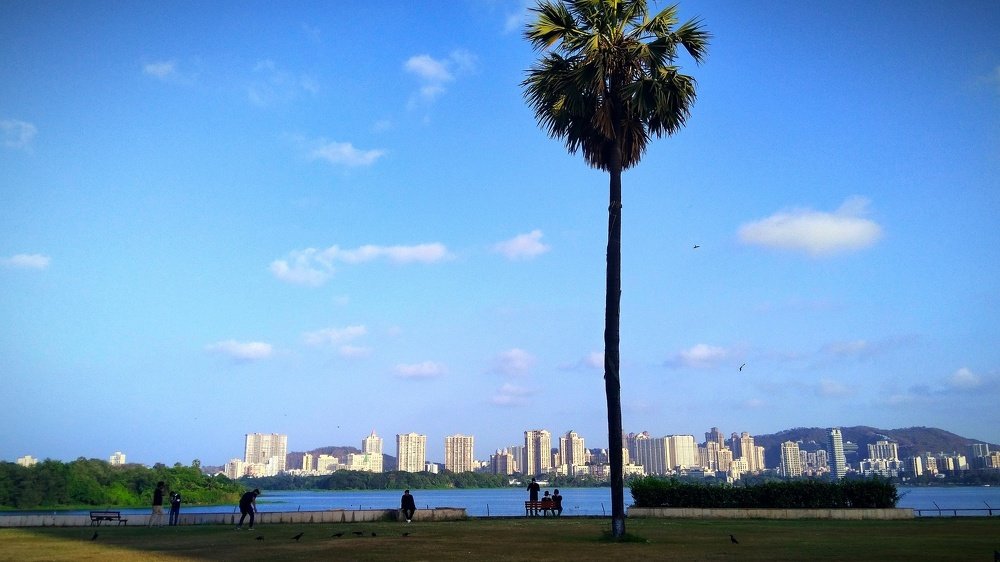 Фотография автора Parag Purkar