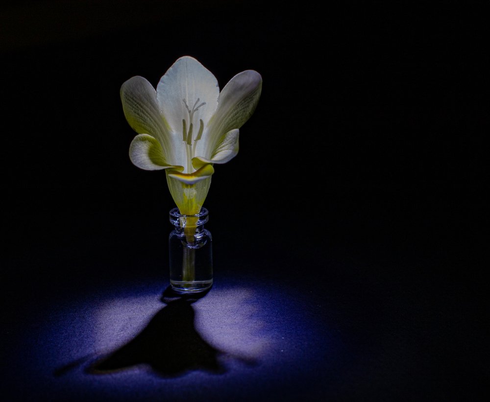 Photograph by Ali Abu Ras