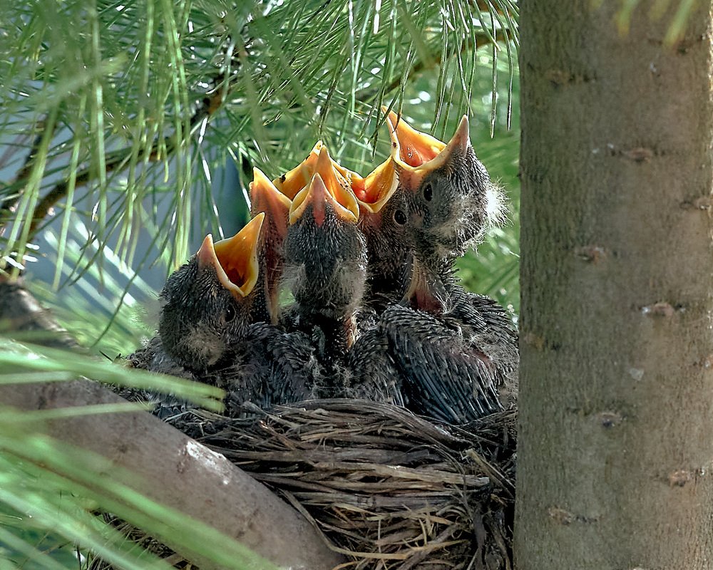 Photograph by Елена Мормоль