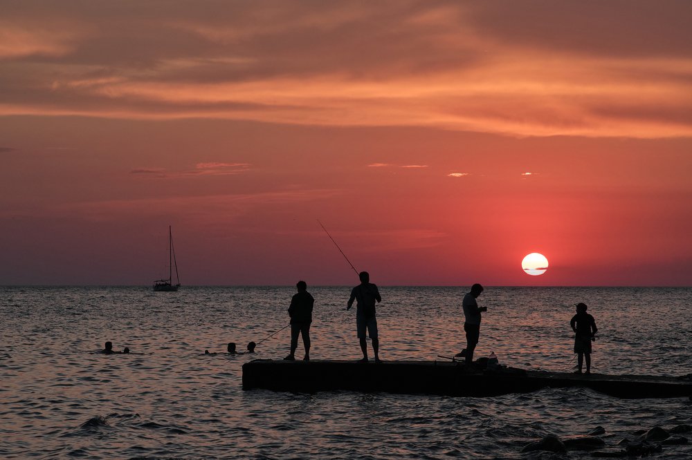 Photograph by Алексей Васин