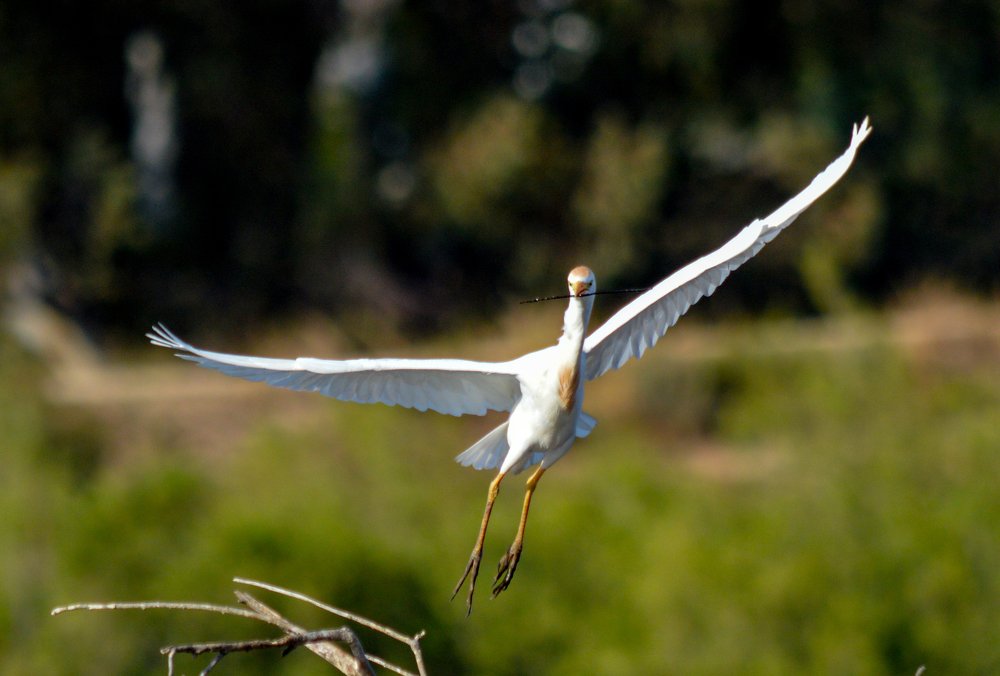Фотография автора EYUP HÜDAVERDİOĞLU