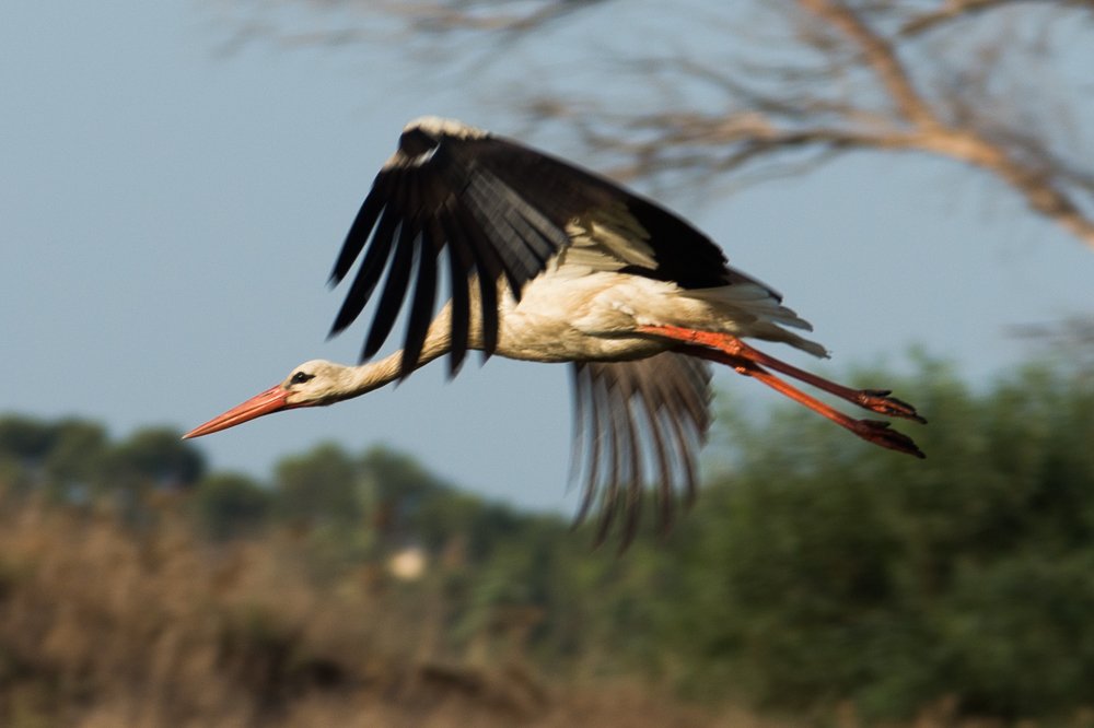 Фотография автора EYUP HÜDAVERDİOĞLU