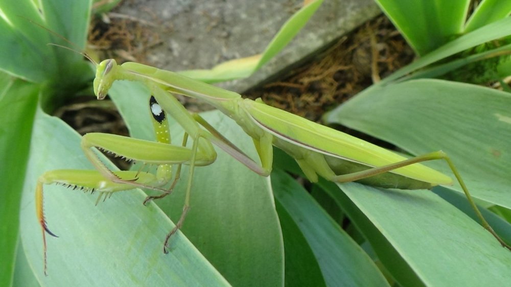 Photograph by Оксана Джураева