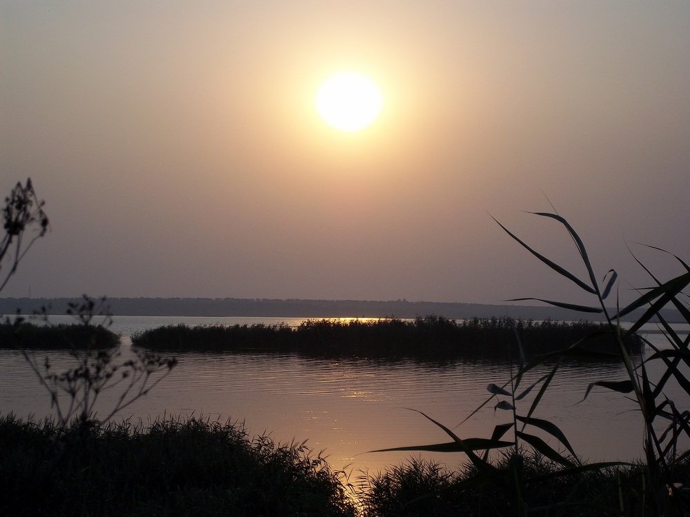 Photograph by Оксана Джураева