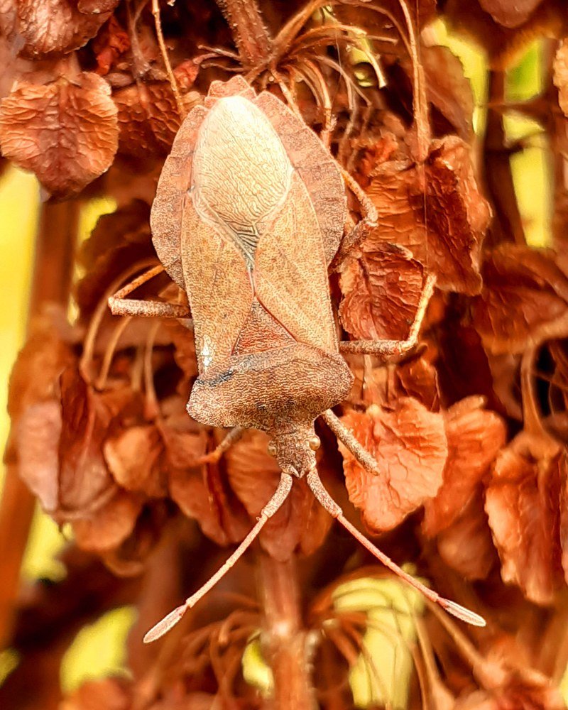 Photograph by Алсу Гиматова