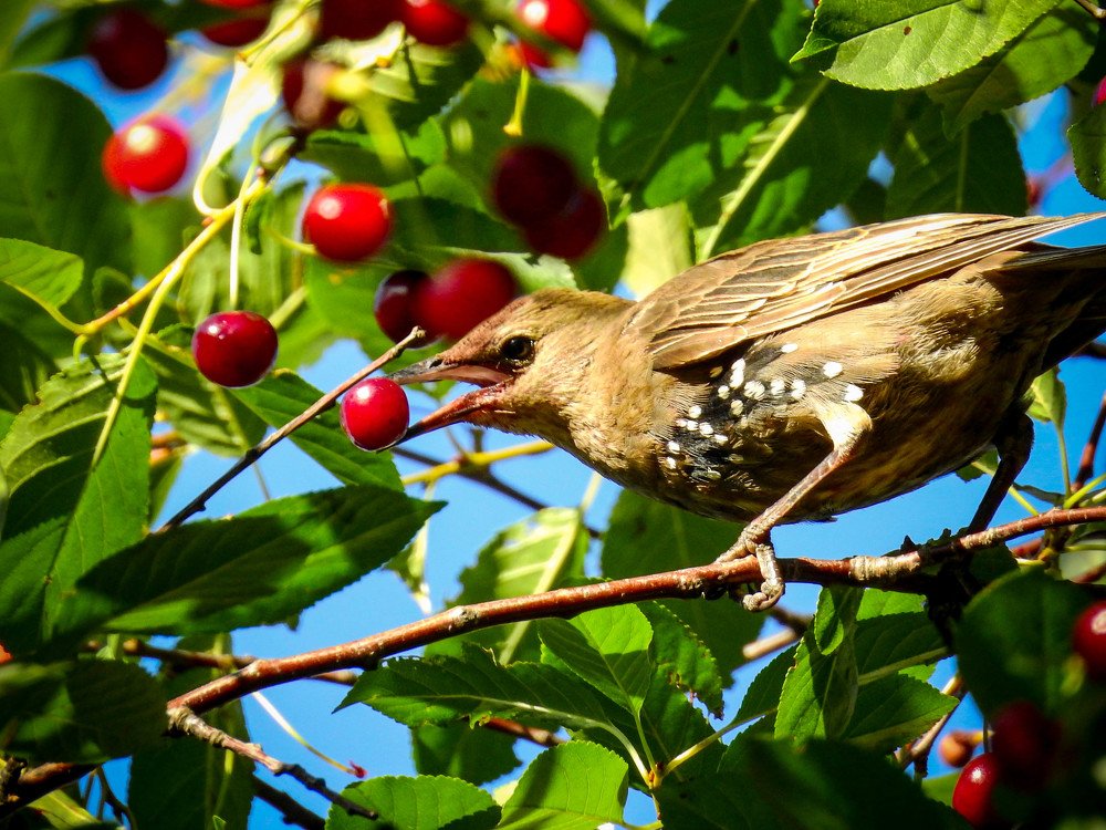 Photograph by Диана Бородзе