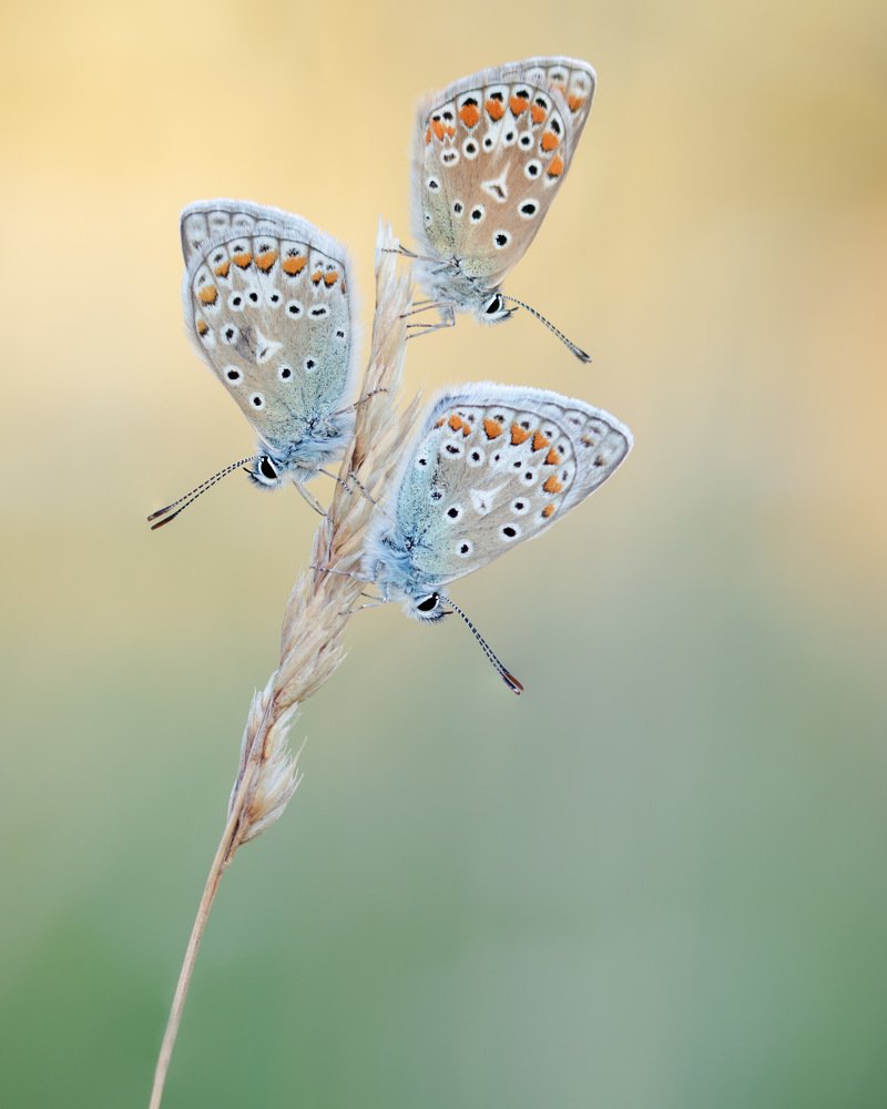 Photograph by Arjan de Heer