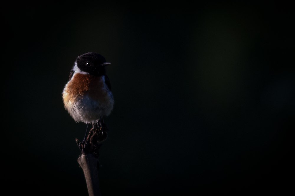 Photograph by Arjan de Heer