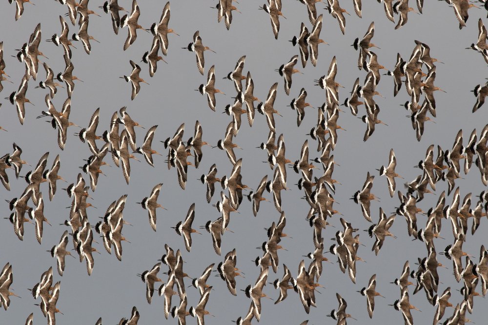 Photograph by Arjan de Heer