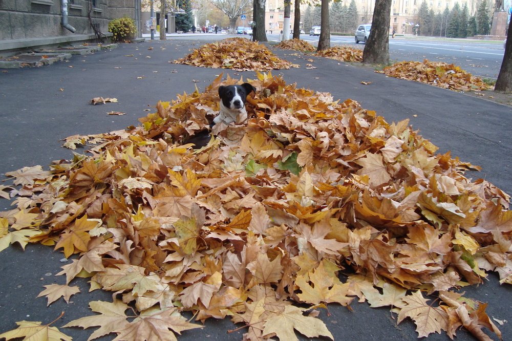 Photograph by Оксана Джураева