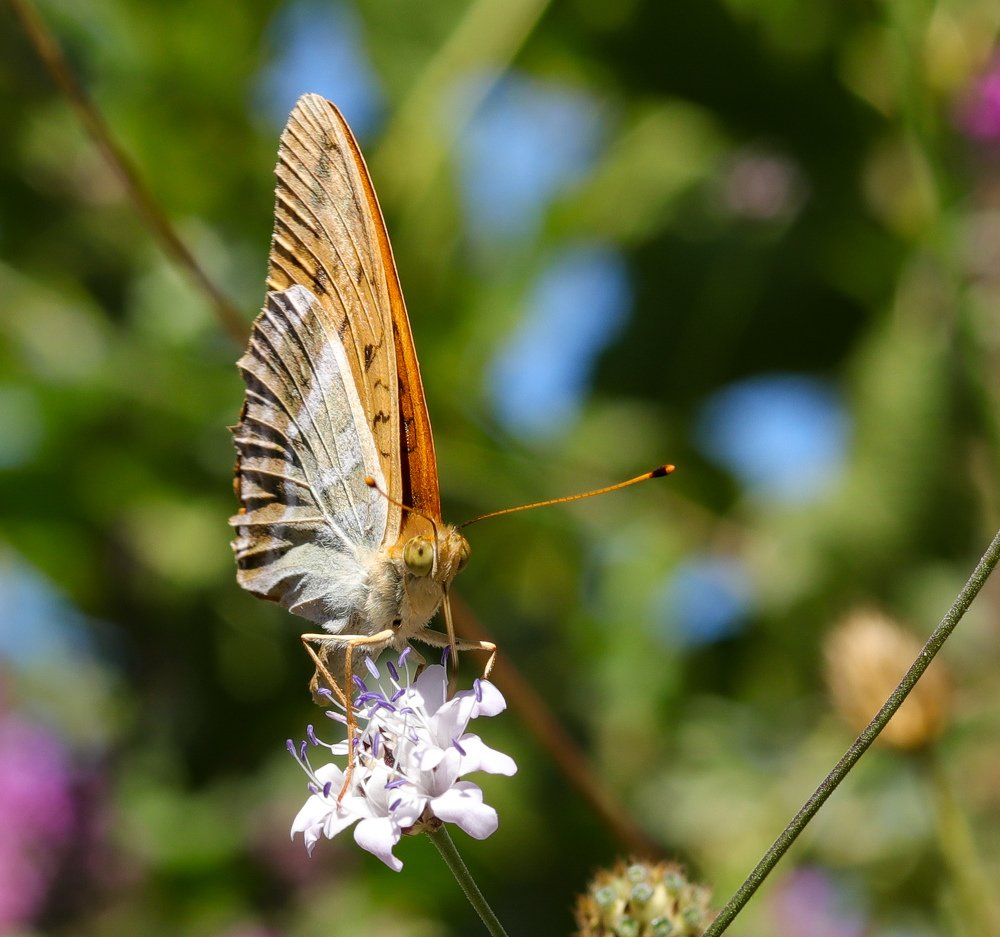 Photograph by Евгений Степанов