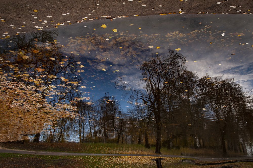 Photograph by Кондратюк Андрей