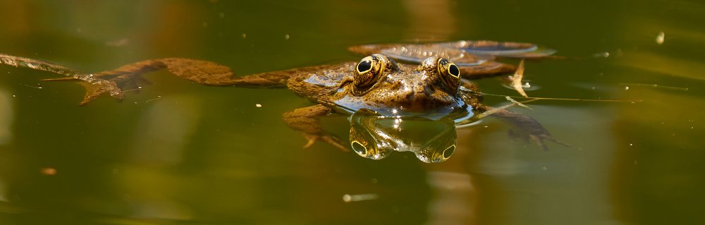 Фотография автора Сергей Фиданян
