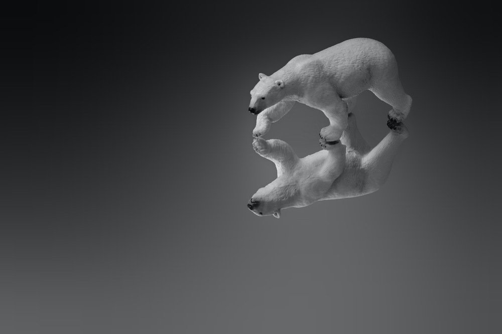 Photograph by Marc-Alain Ferragne