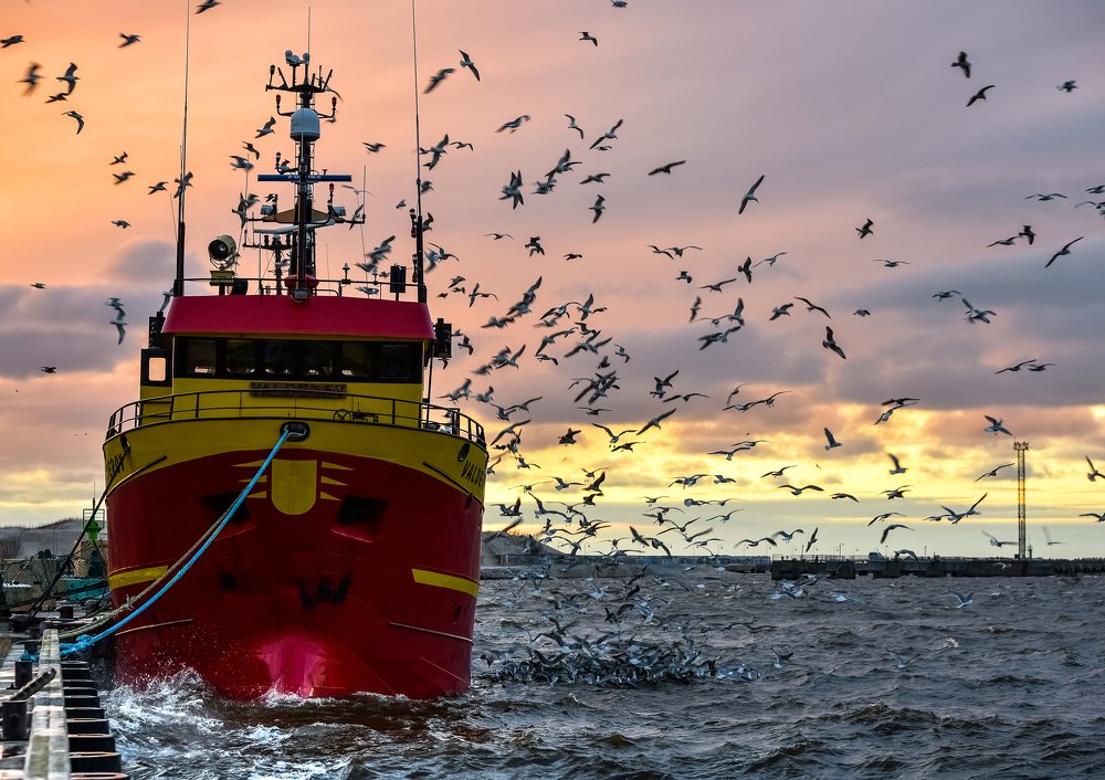 Photograph by Larisa Cekanaviсa