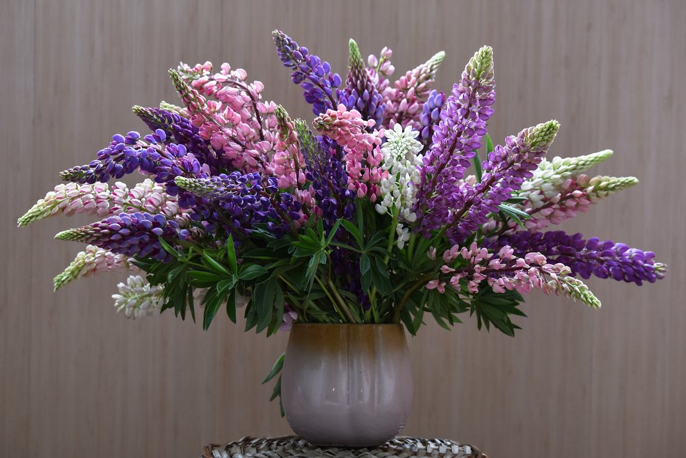 Photograph by Larisa Cekanaviсa