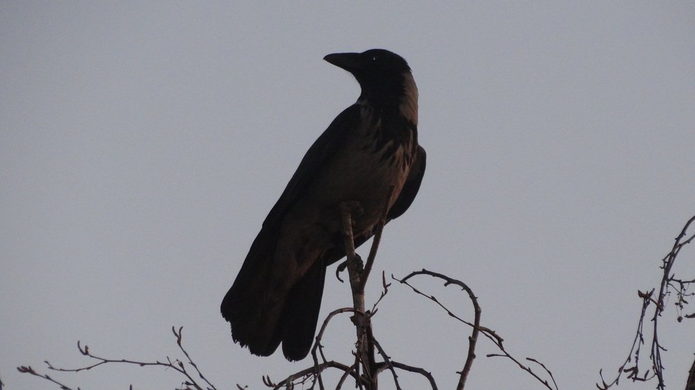 Photograph by Алексей Чурушкин