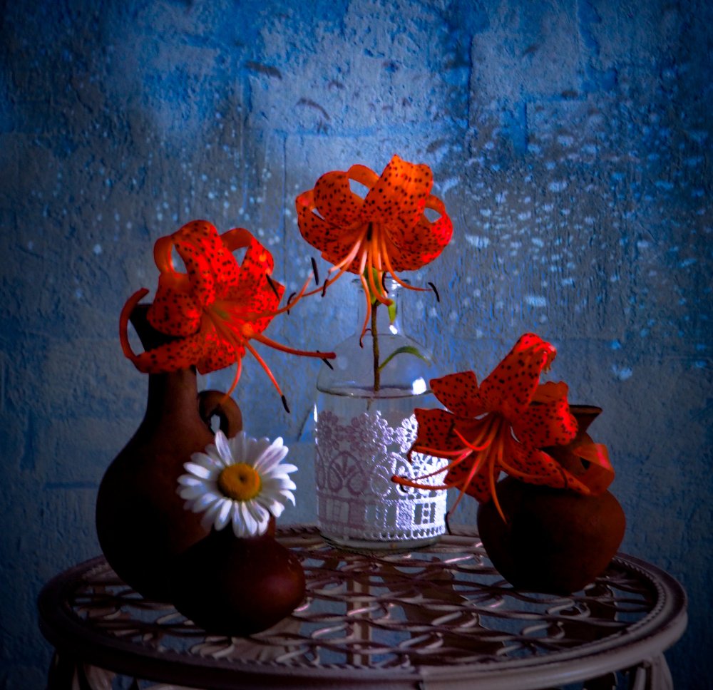 Фотография автора Olena Vorotyntseva