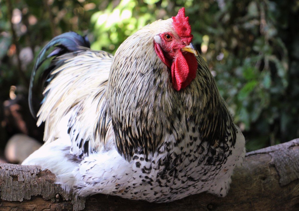 Photograph by Людмила Бутова