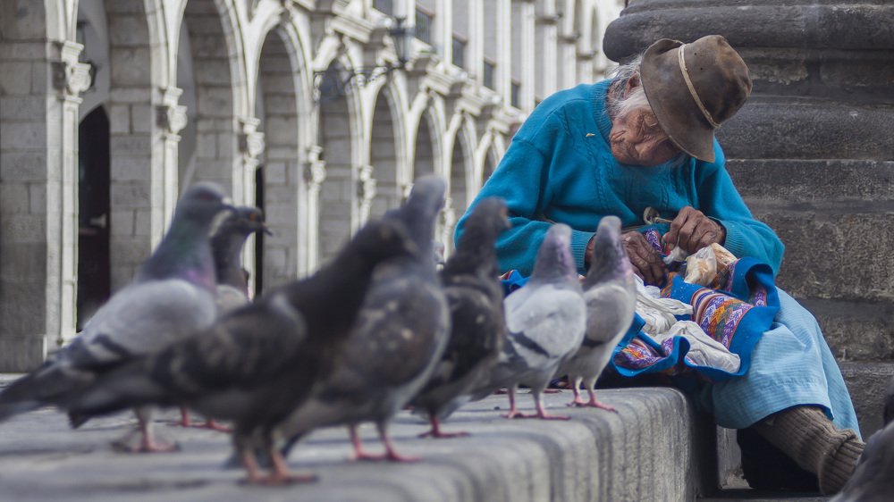Yo también volaré con ustedes, ya falta poco.