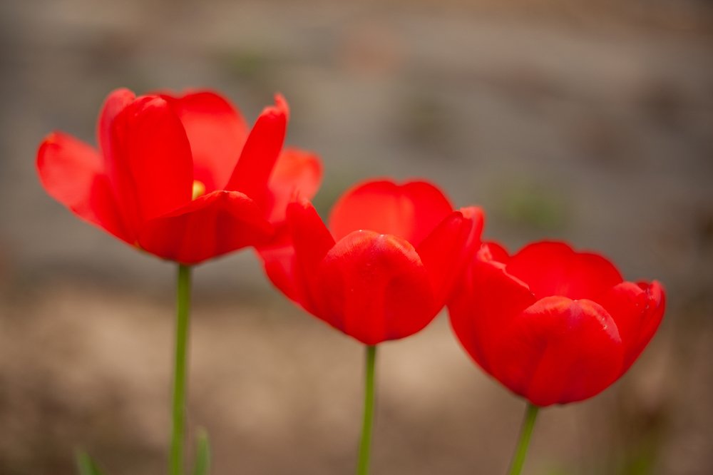 Photograph by Екатерина Панина