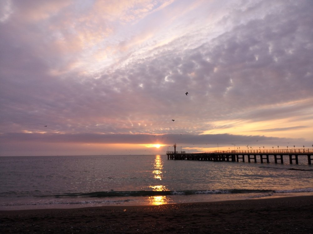 Photograph by Ирина Алексеевская